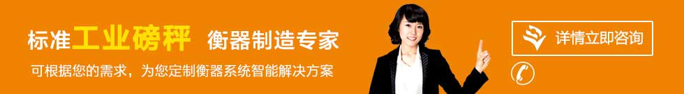 聯(lián)系山東電子電子定量包裝秤、無(wú)人值守稱(chēng)重系統(tǒng)廠(chǎng)家