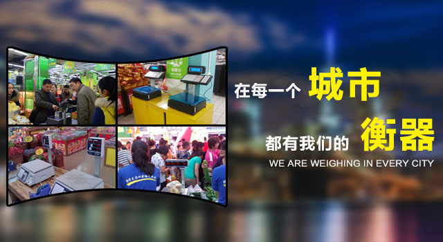 可以對衡器進行偏載（四角）參數(shù)、量程參數(shù)、空秤參數(shù)進行自動和手動校準。