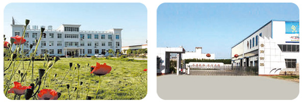土建基礎(chǔ)對(duì)地磅在檢定周期內(nèi)失準(zhǔn)的影響分析魯南衡器廠(chǎng)區(qū)實(shí)景